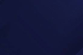 误判，意丁联赛中皮球从边网打进，裁判判罚进球有效